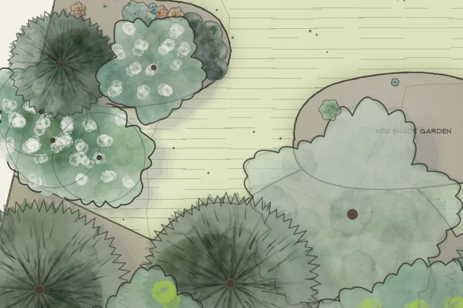A corner of the plan drawn for spring — the trees and shrubs in white flower over fresh green foliage.
