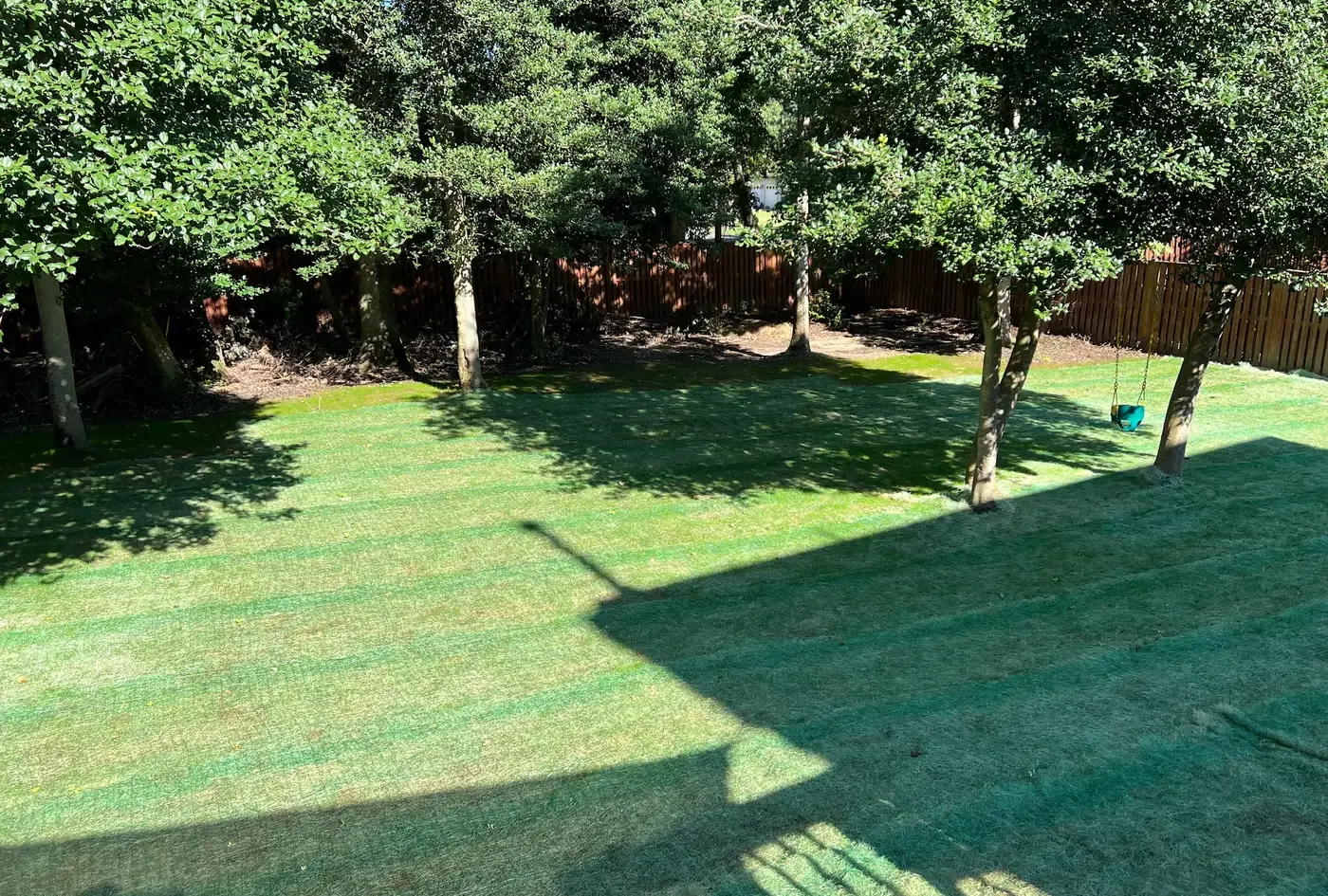 An ordinary back yard before any planting: mown lawn running to a wooden fence, a stand of mature trees throwing long afternoon shadows across it, and a toddler's swing hanging from one of them.