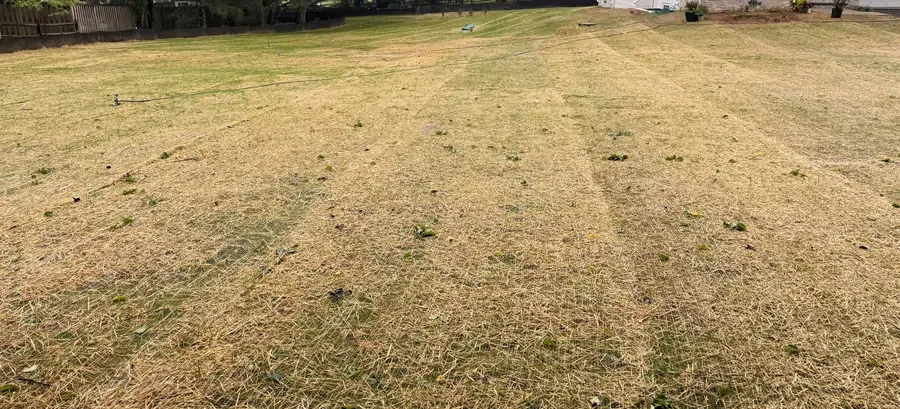 A newly graded yard under a blanket of straw, freshly seeded and with nothing planted yet.