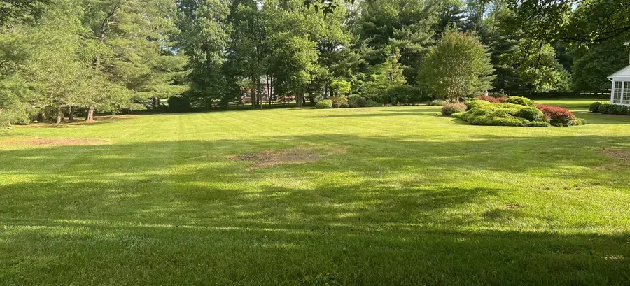 A settled landscape years on — mown lawn running to layered shrub borders and a mature tree canopy.