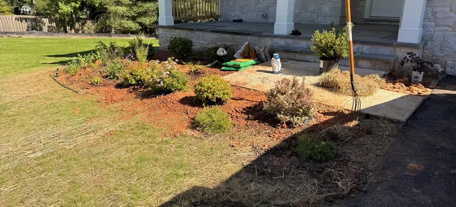 A foundation bed halfway through installation: shrubs set into fresh clay soil, straw down, a fork and bags of compost still on the walk.
